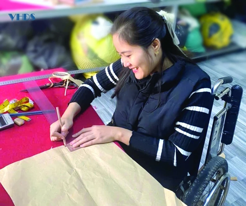 Những đóa hoa vươn về phía mặt trời...