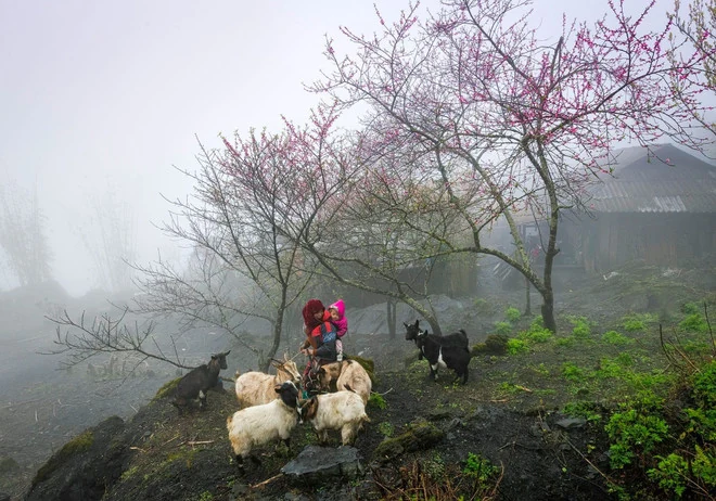 Cơ hội nào cho ngành du lịch Việt bứt phá và nâng cao vị thế trong năm 2025?