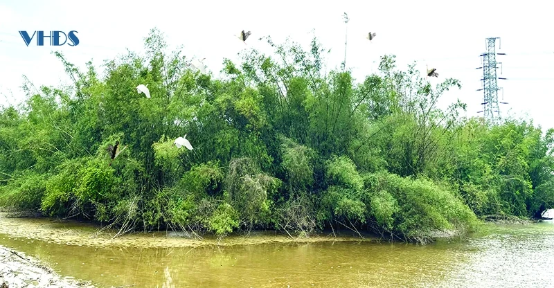 Khám phá đảo Cò