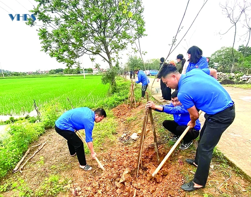 Sôi nổi “Tết trồng cây, đời đời nhớ ơn Bác Hồ”