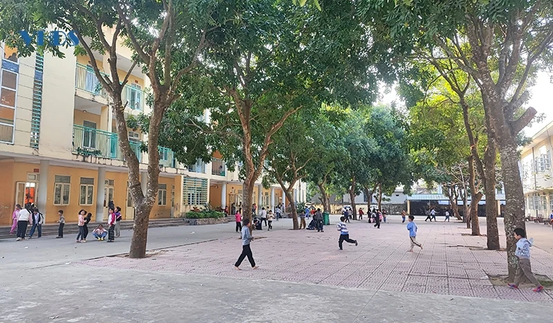 Quy hoạch, sắp xếp mạng lưới trường lớp trước yêu cầu đổi mới