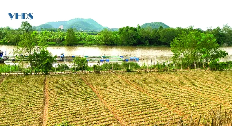 Nguyễn Viết Toại và phong trào Cần Vương