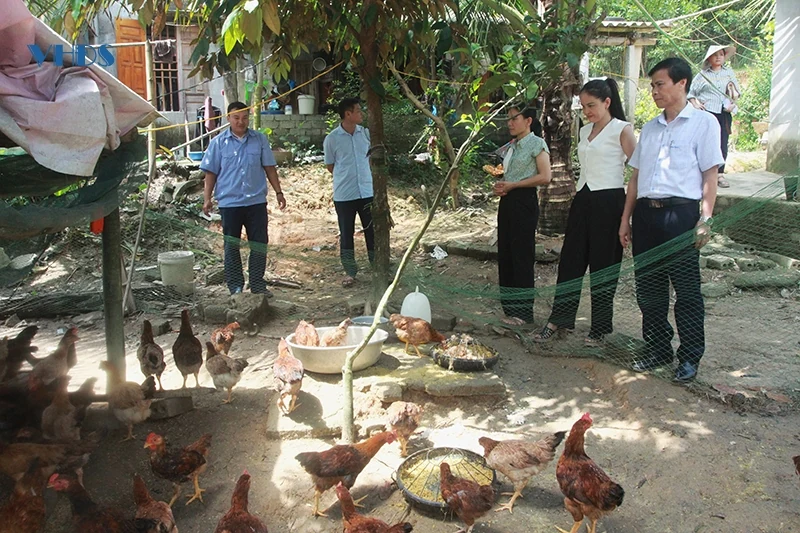 “Trái ngọt” từ những dự án giảm nghèo