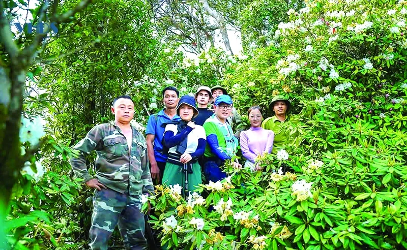 “Từ khu bảo tồn... đến Vườn quốc gia Xuân Liên” (Bài 2): “Mỏ vàng” phát triển du lịch