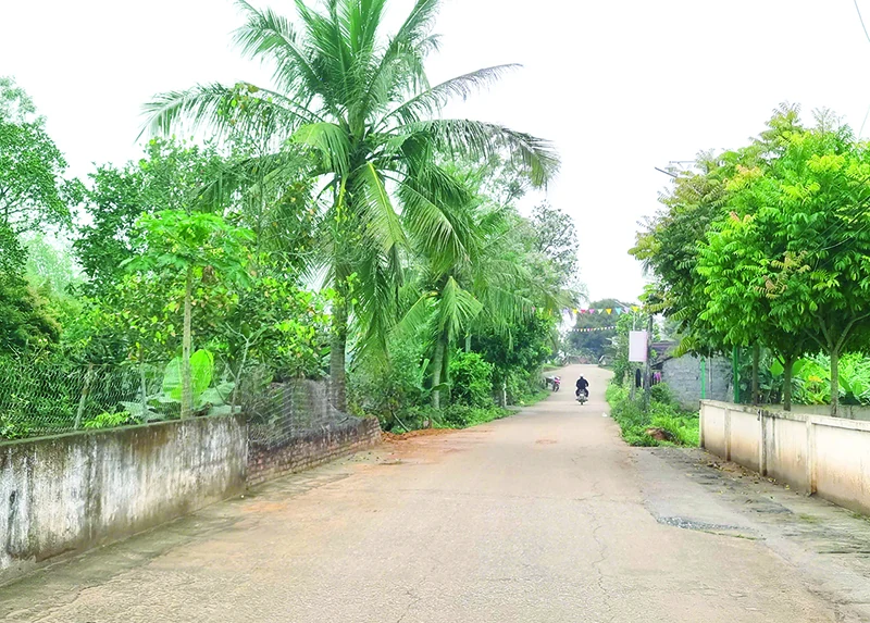 Làng Yên Cư: Đẹp và thanh bình