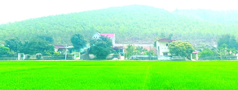 Đất làng Hòa Trường