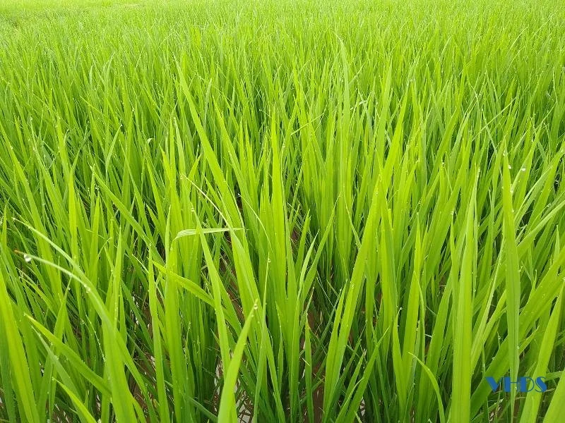 Cuộc sống này thực sự đáng giá...