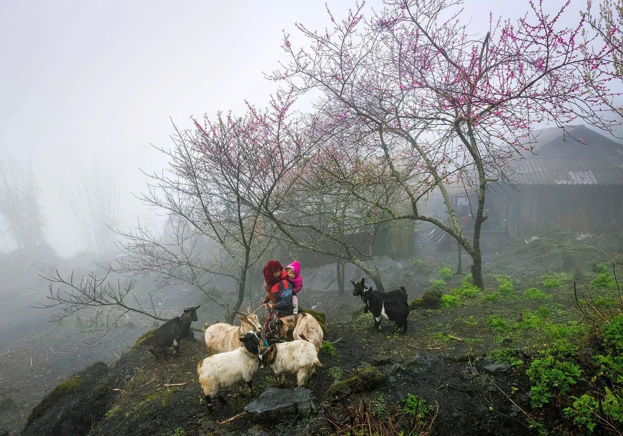 Lịch sử, văn hóa, điểm đến liệu có bị “nhấn chìm” sau đặt lại tên xã, phường?