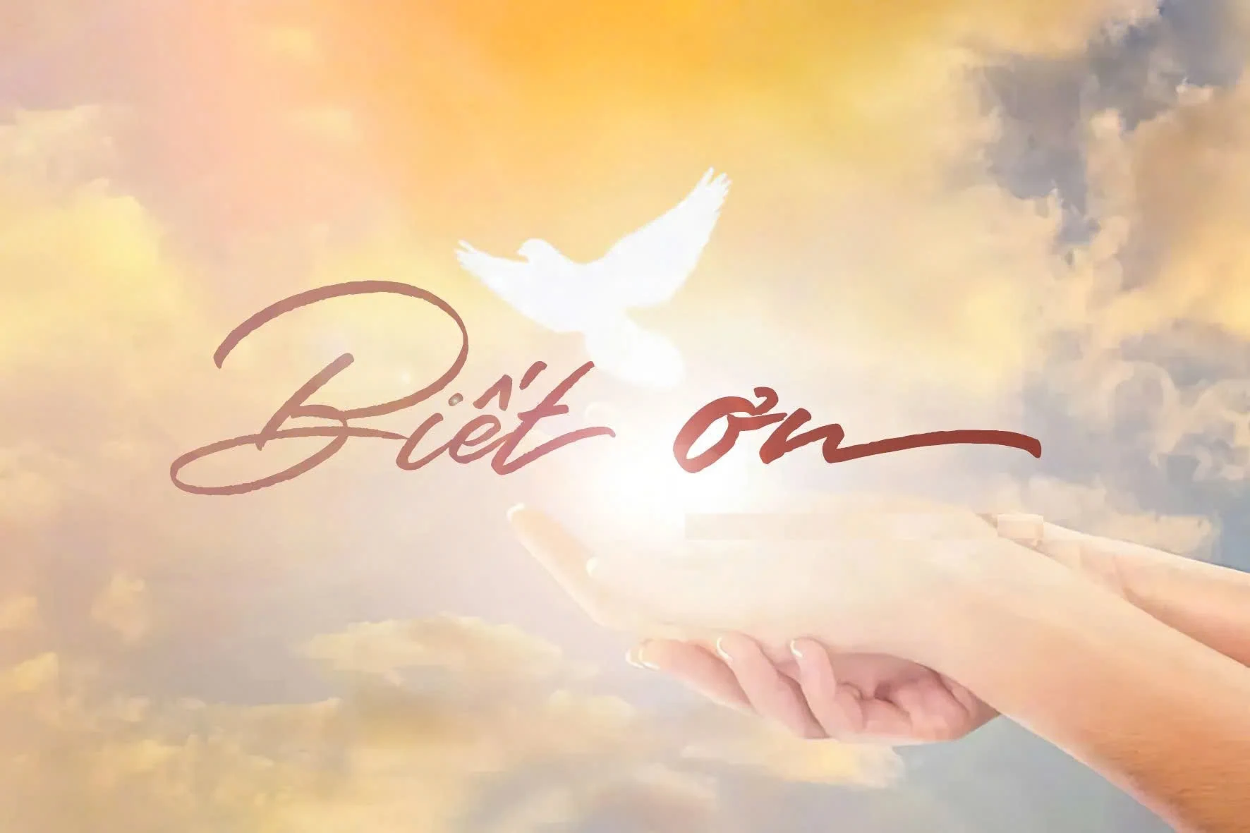 Sống mỗi ngày với lòng biết ơn