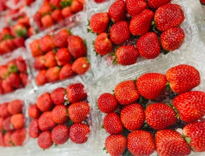 Những loại trái cây người bệnh mỡ máu nên ăn hằng ngày