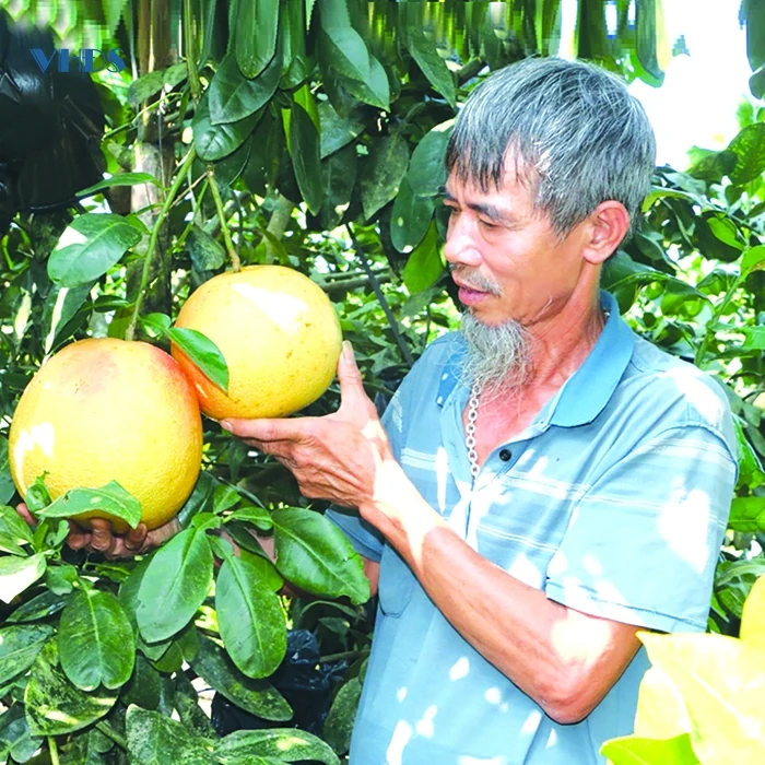 Đất cổ Mục Sơn