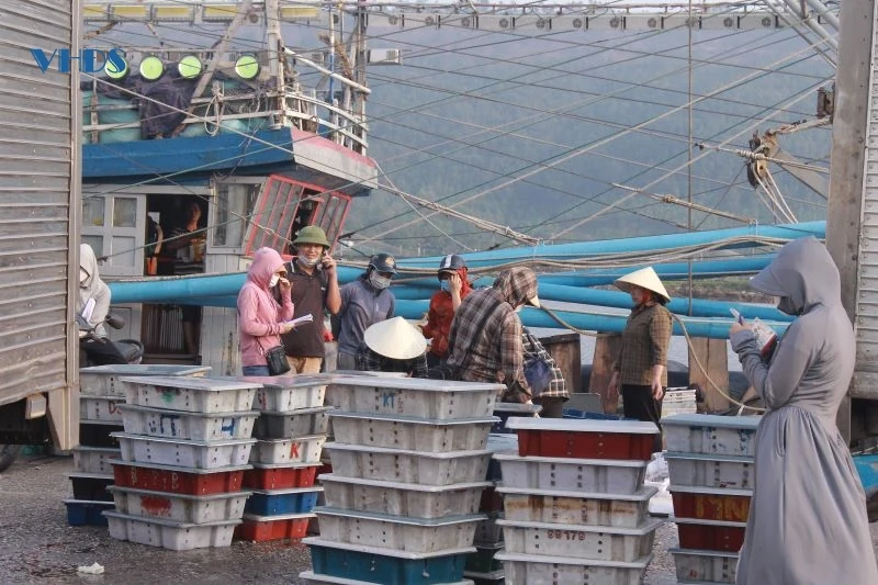 Những người “giữ nhịp” nơi cửa cảng