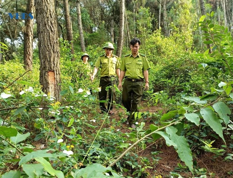 Hạt Kiểm lâm Hà Trung tăng cường phòng cháy, chữa cháy rừng