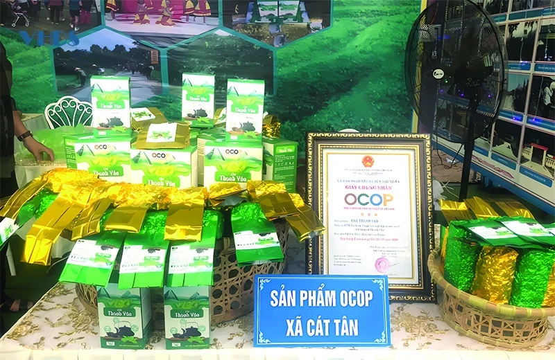 Tạo sinh kế từ các mô hình phát triển nông nghiệp ở Cát Tân
