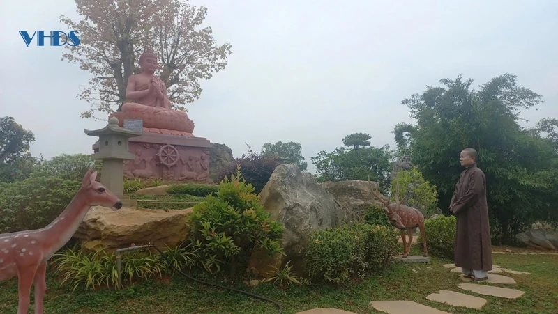 Chùa Hoàng - Chốn linh thiêng giữa lòng Hoằng Hóa