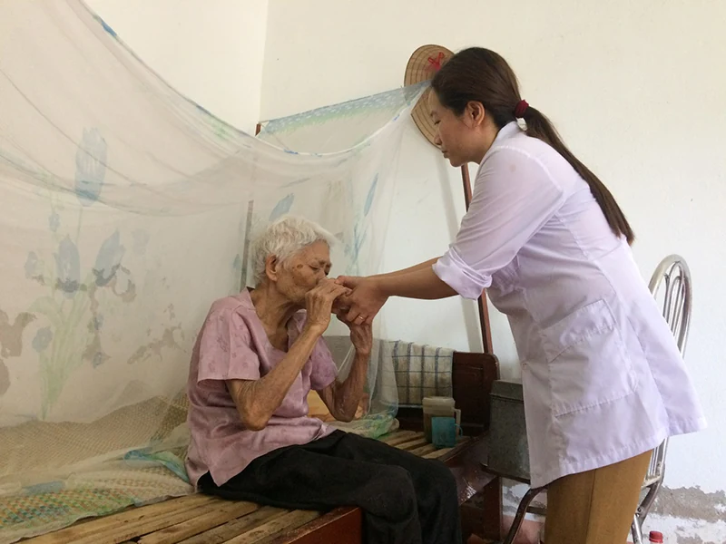 Những yêu thương vỗ về