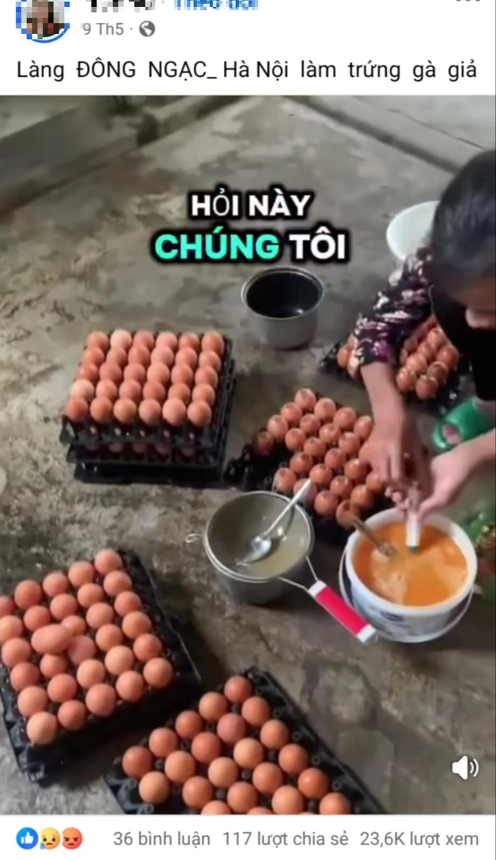 Chủ tịch Hội Chăn nuôi Việt Nam: Làm giả trứng gà giống trứng thật là điều không thể