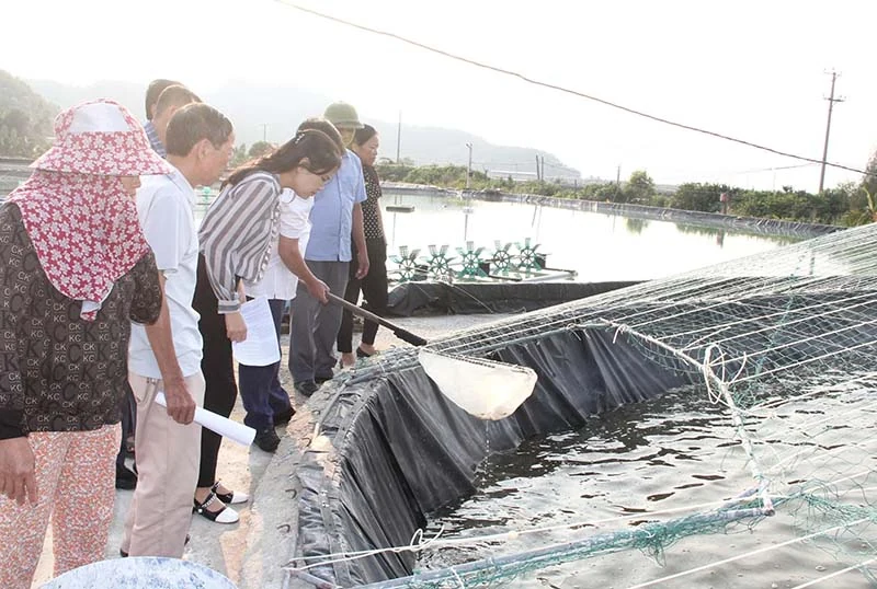 Những “kỹ sư” chân đất