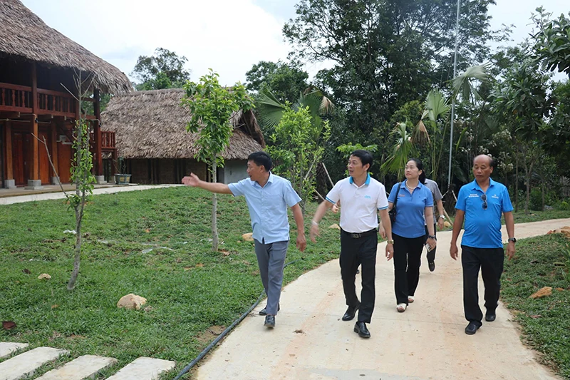 Lối riêng mình chọn