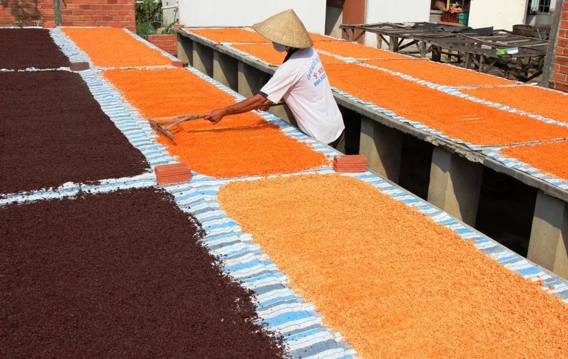 Đặc sắc nghề làm muối ớt Tây Ninh - di sản Văn hóa Phi vật thể Quốc gia