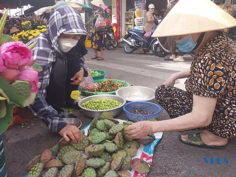 Mùa sen lên phố...