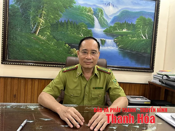 Khát vọng rừng xanh (Bài 3): Phát triển kinh tế rừng hiệu quả, bền vững