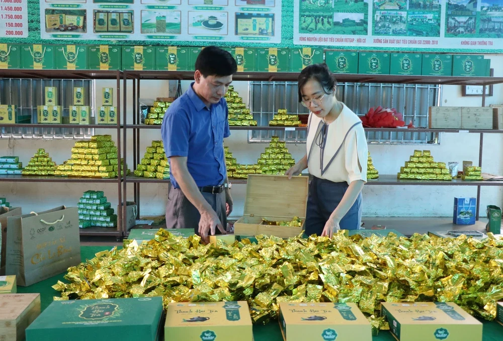 65 năm du lịch Việt Nam: Vững bước, khẳng định vị thế trên bản đồ thế giới