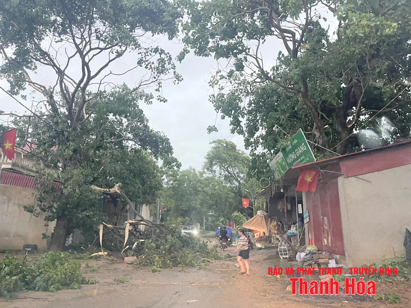 Quê nhà ngày mưa bão