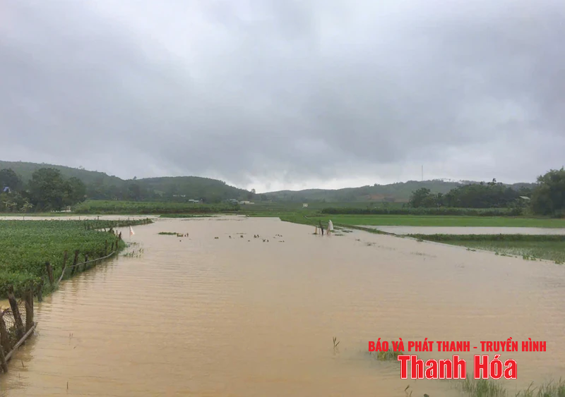 Quê nhà ngày mưa bão