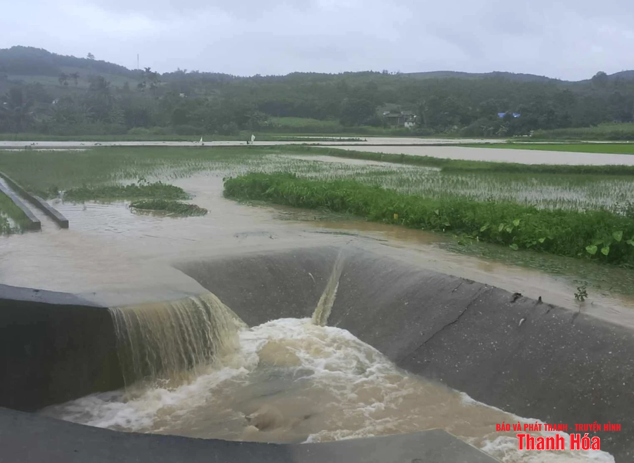 Quê nhà ngày mưa bão