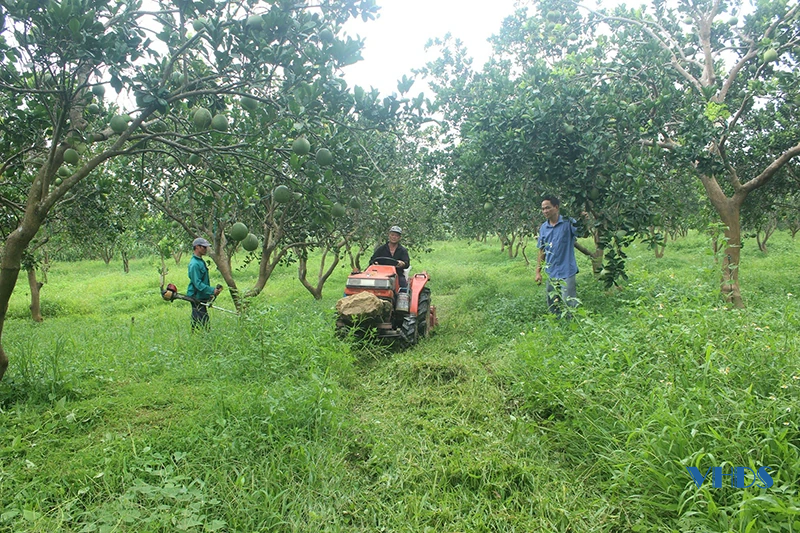 Làm giàu từ sản xuất nông nghiệp công nghệ cao