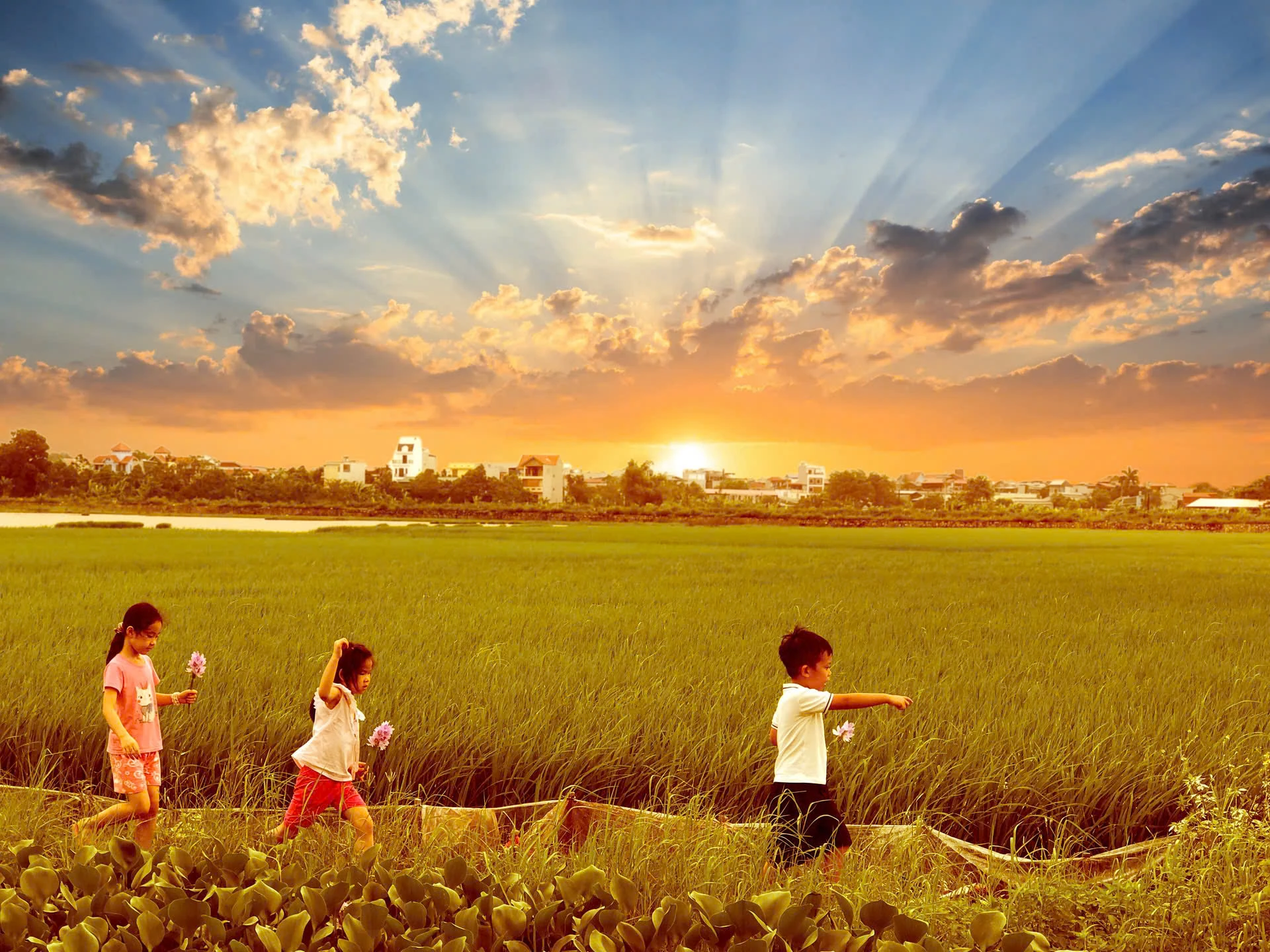 Màu của quê hương...