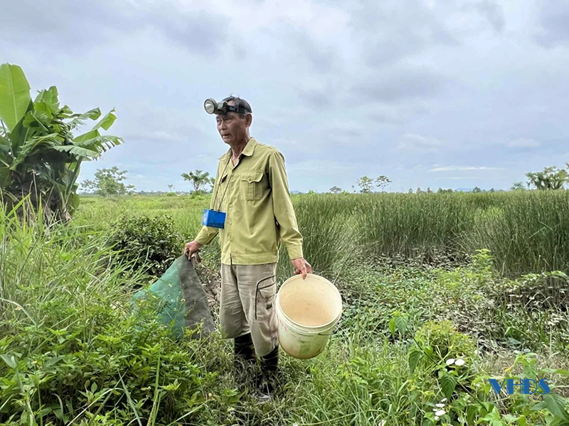 Làm giàu từ con cáy