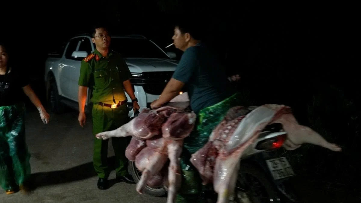 Thịt lợn nhiễm dịch tả châu Phi: Ăn vào nguy hiểm như thế nào?