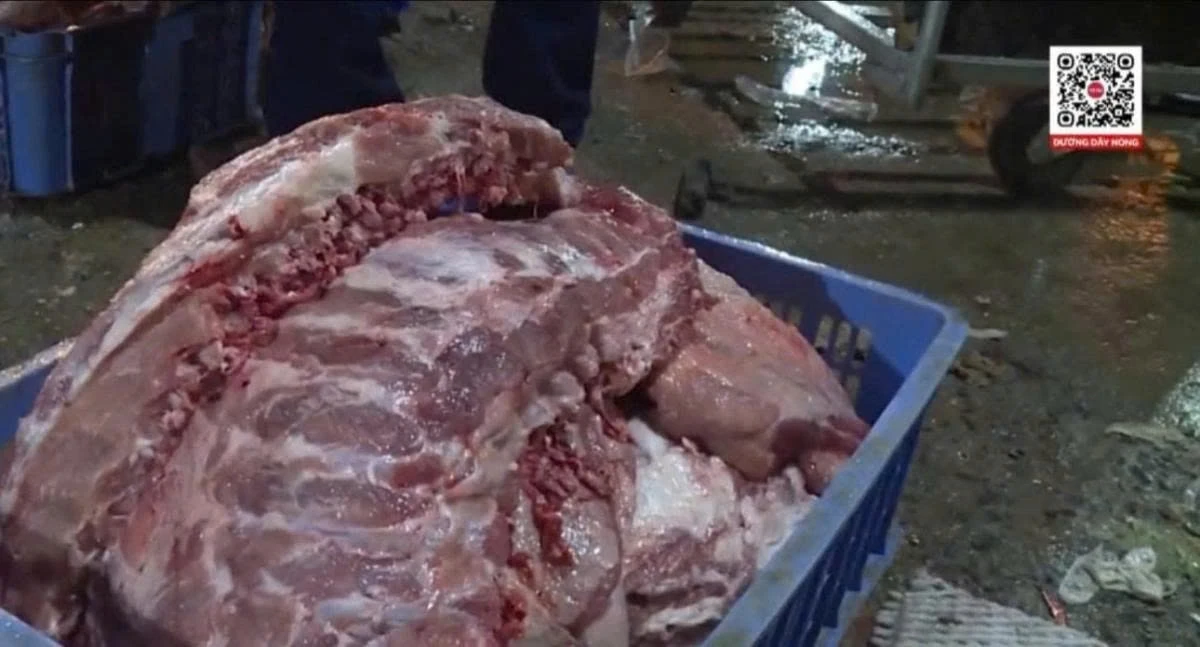 Thịt lợn nhiễm dịch tả châu Phi: Ăn vào nguy hiểm như thế nào?