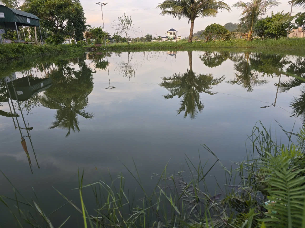 Cần giữ gìn nét đẹp văn hóa giếng làng