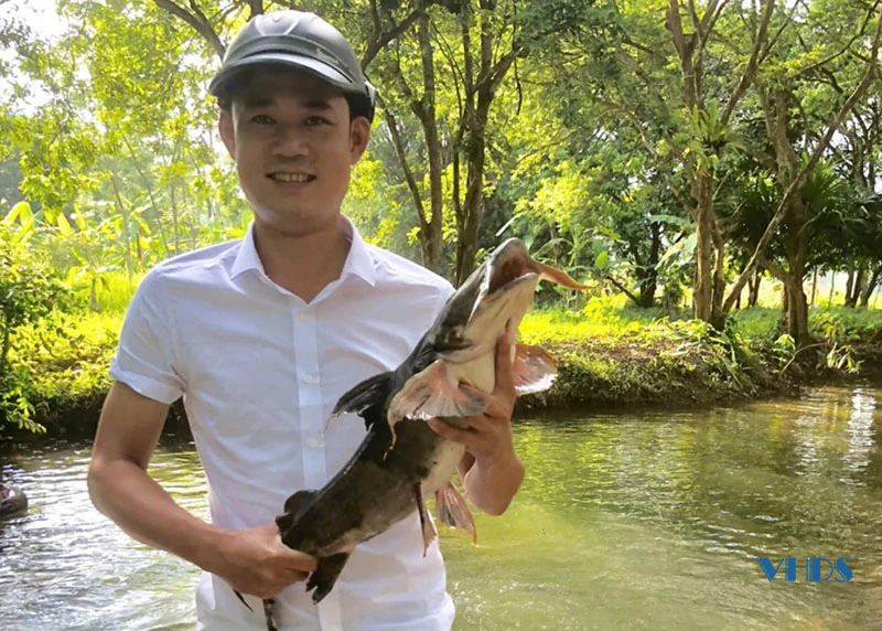 8X làm giàu nhờ nuôi cá chiên