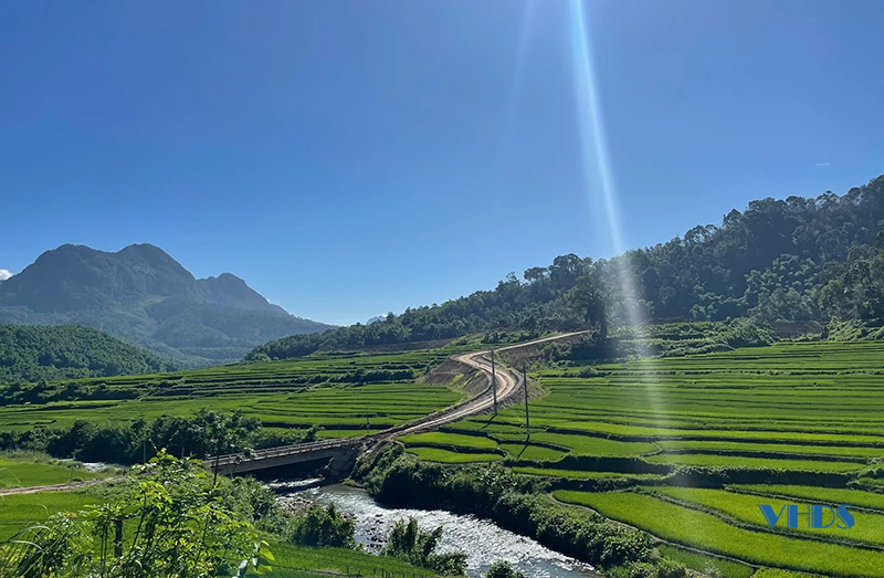 Mong ngày nắng lên...