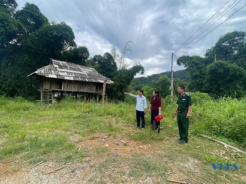 Mong ngày nắng lên...