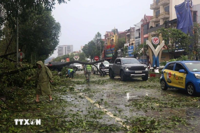 Bão làm 16 người thương vong với nhiều thiệt hại nghiêm trọng tại các địa phương