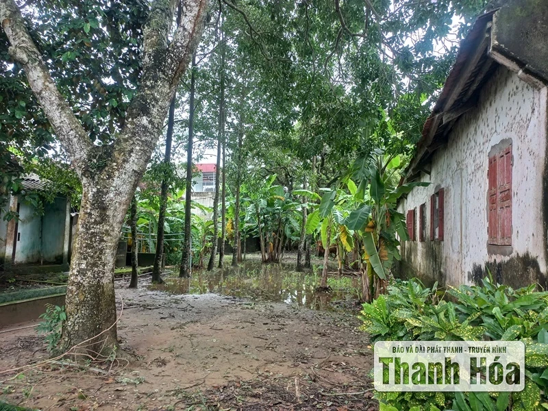 Khu lẻ trường tiểu học xuống cấp nghiêm trọng trước thềm năm học mới