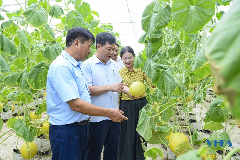 Hành trình của khát vọng và niềm tin (Bài 1): Chung sức, đồng lòng