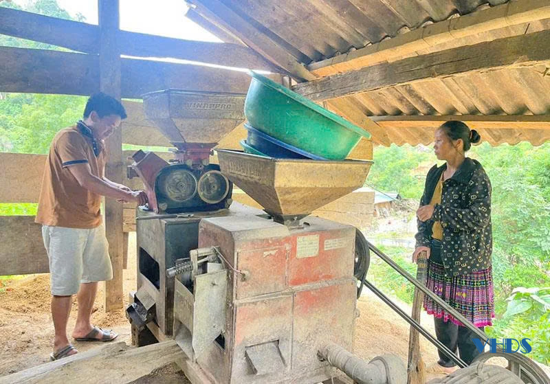 Những nông dân người Mông làm giàu