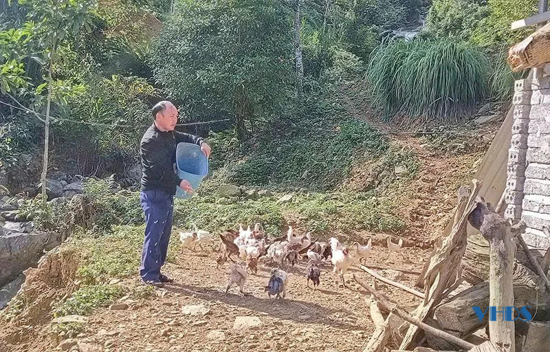 Những nông dân người Mông làm giàu