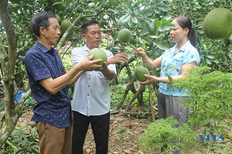 Dòng họ người Dao xã Cẩm Thạch nỗ lực vươn lên