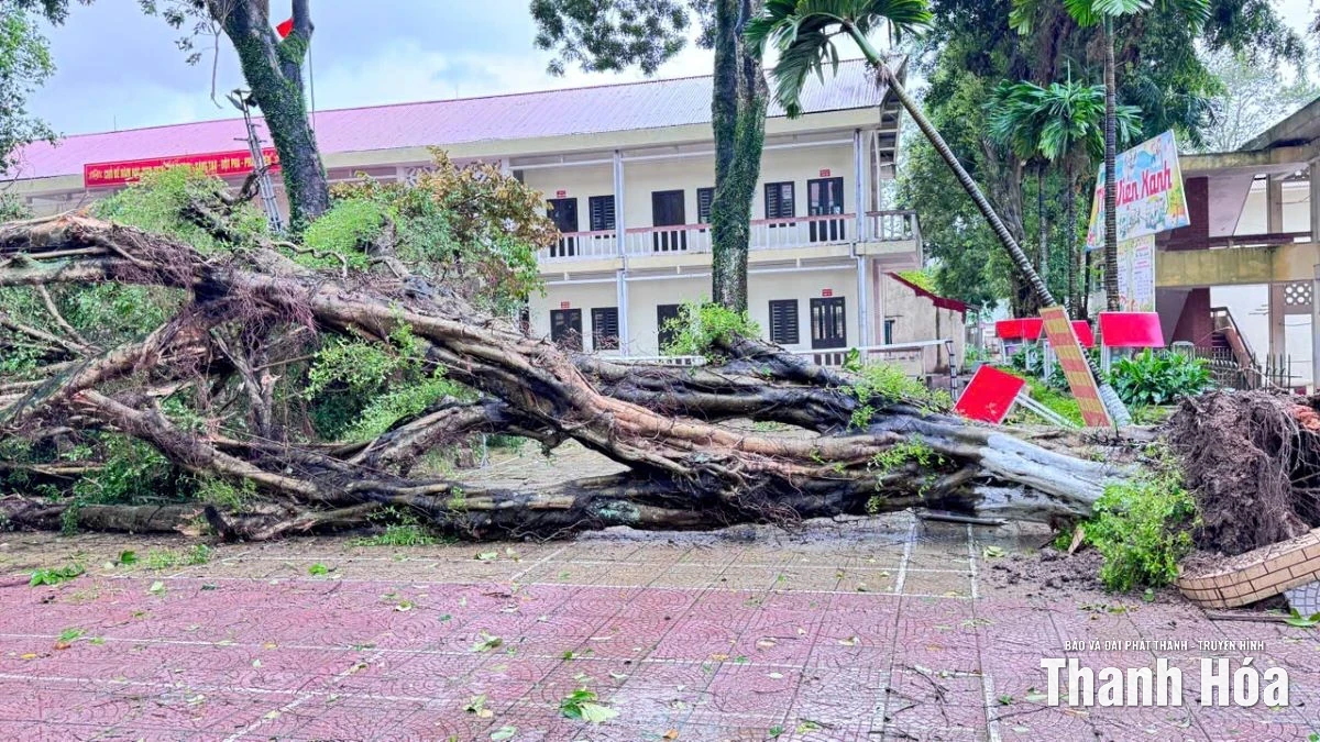 6 trường học ở xã Cẩm Thủy bị thiệt hại nặng nề sau bão số 10