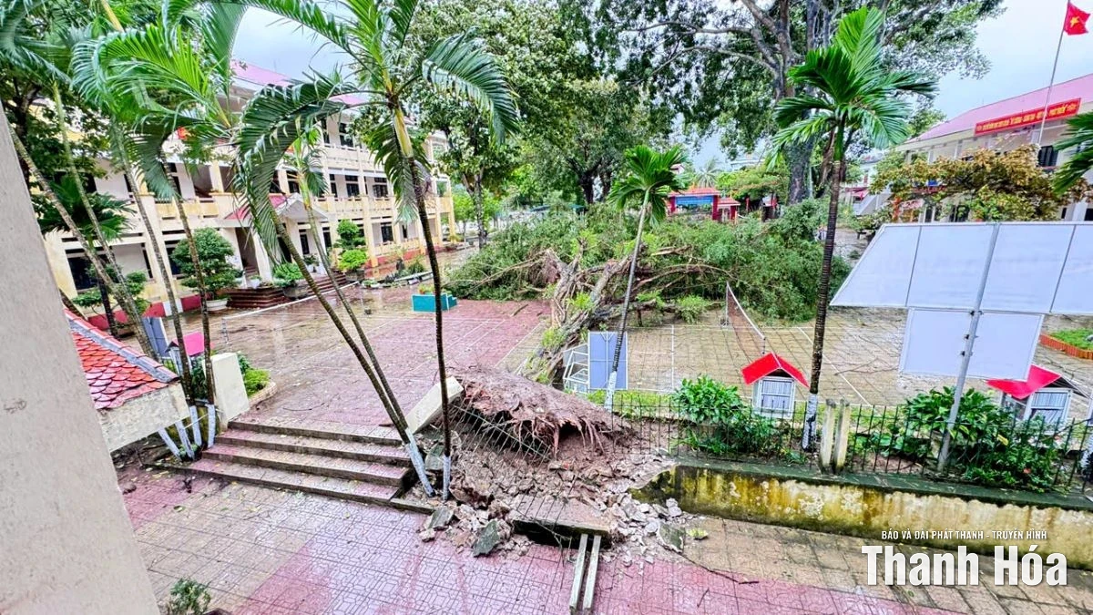 6 trường học ở xã Cẩm Thủy bị thiệt hại nặng nề sau bão số 10