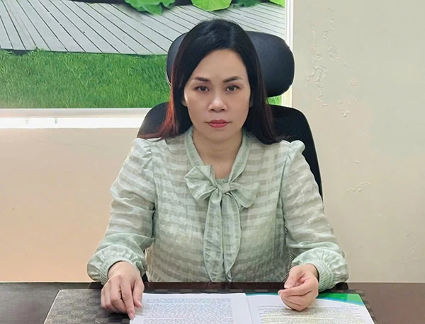 Xây dựng Nông thôn mới sau sáp nhập - Bài toán khó? (Bài 3): Phấn đấu bằng hoặc cao hơn bình quân chung của cả nước...