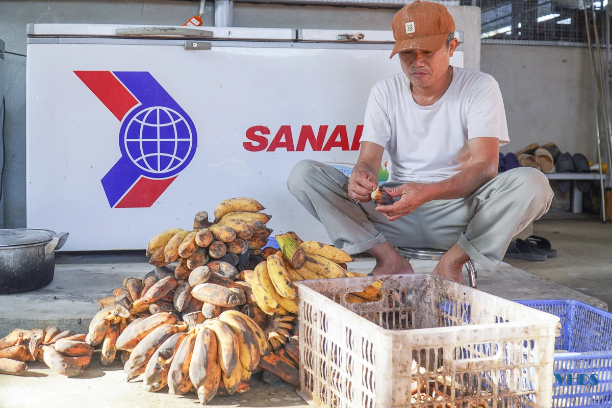 Từ lao động xuất khẩu đến ông chủ trang trại cầy hương thu hàng trăm triệu mỗi năm