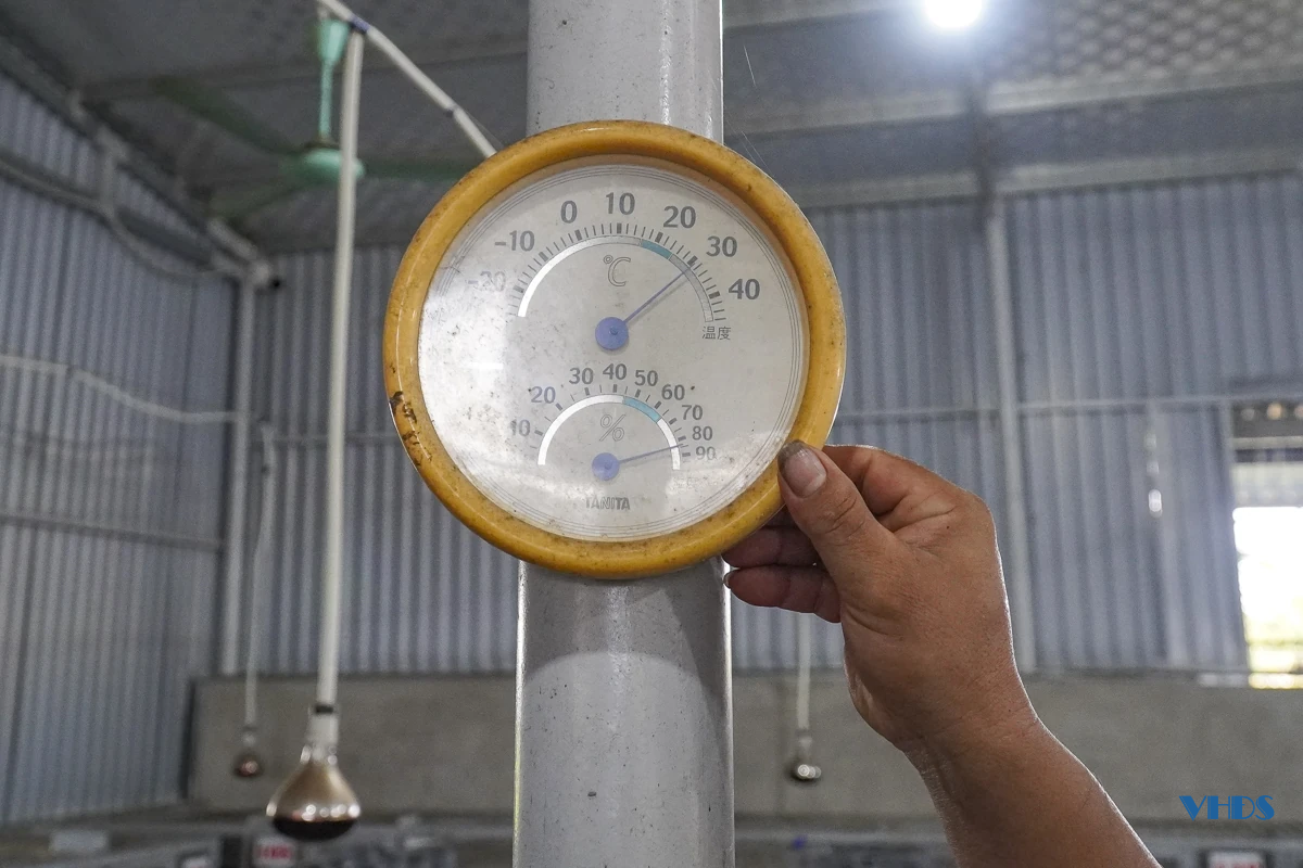 Từ lao động xuất khẩu đến ông chủ trang trại cầy hương thu hàng trăm triệu mỗi năm